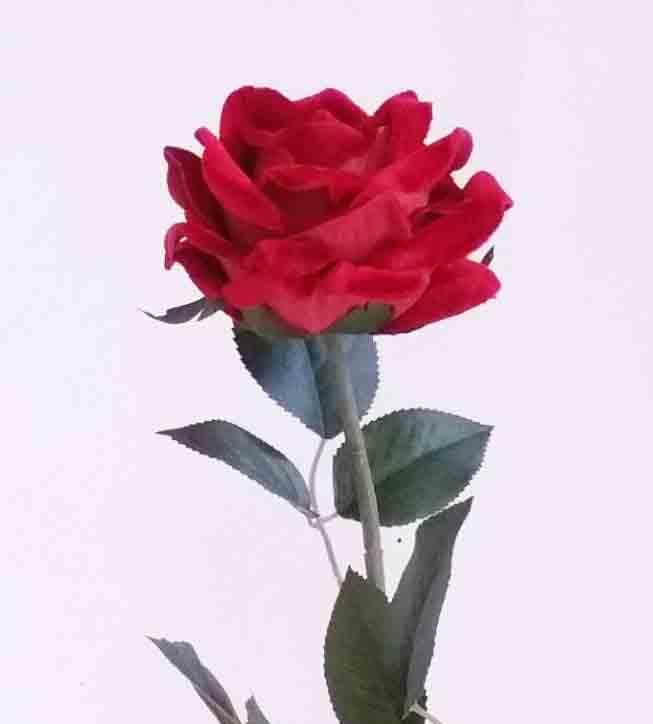 R27 - 27" Red Velvet Rose - 3.20 ea, 2.95/12
