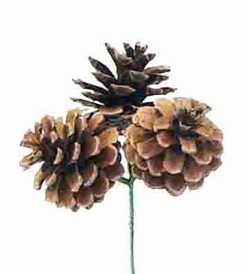 X755 - Triple Pine Cone Pick - .80 ea, .75/12, .65/144