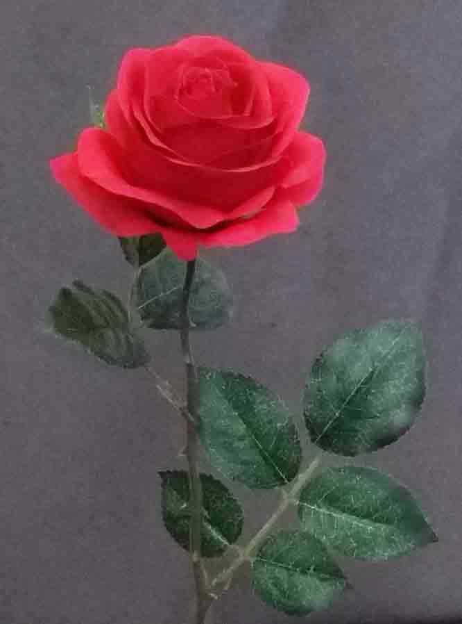R994 - 22" Red Single Rose - 2.75 ea, 2.50/24