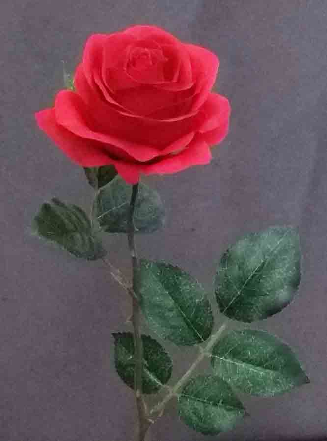 R994 - 22" Red Single Rose - 2.60 ea, 2.35/24