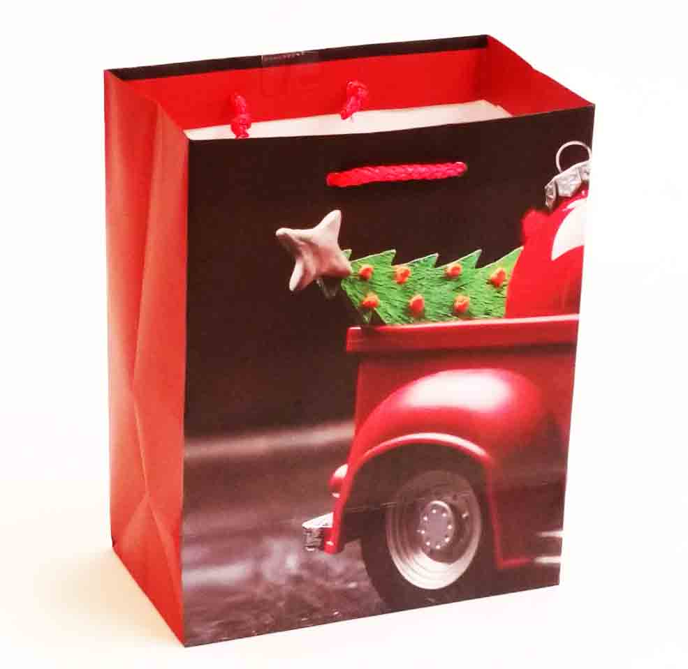 X316 - 4 x 7 x 9" Medium Gift Bag - .95 ea, .75/12