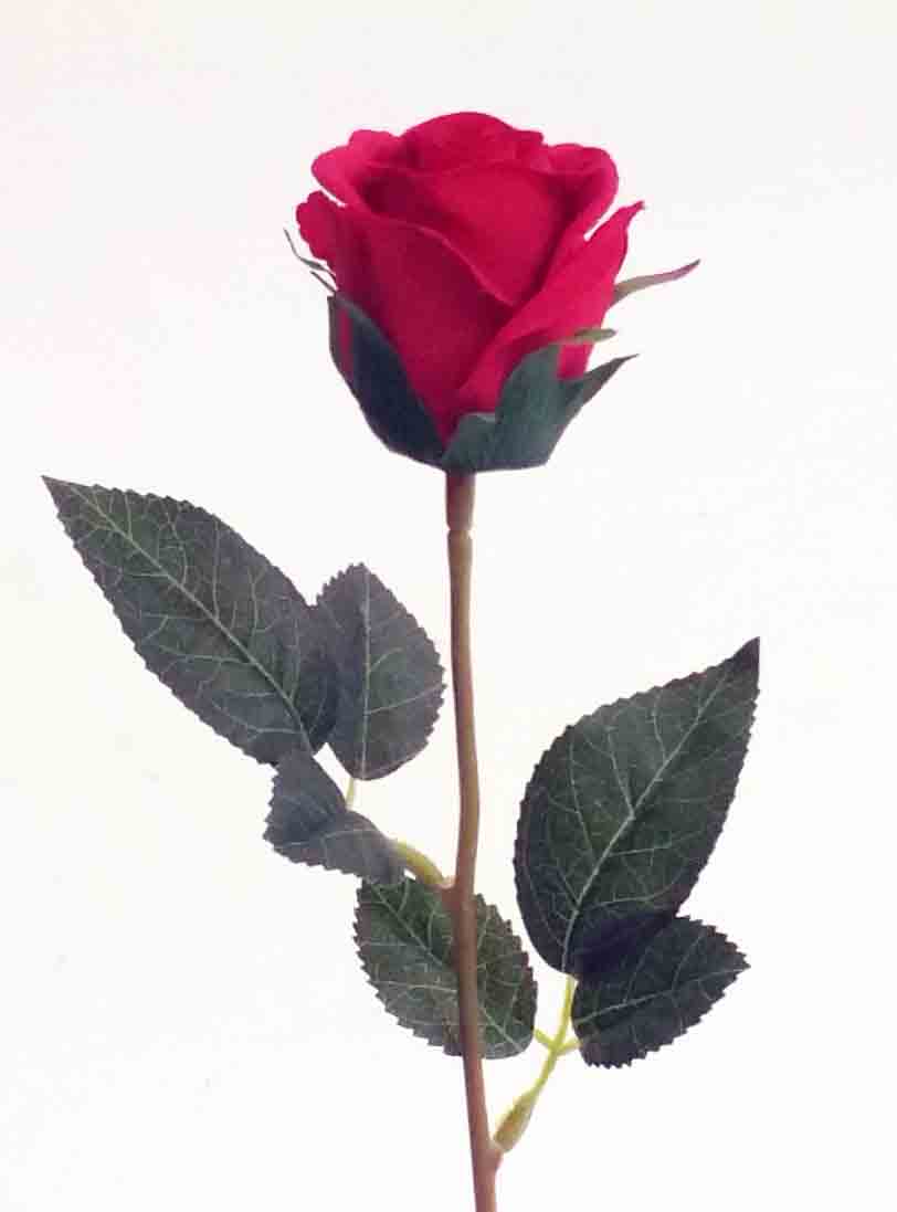 R109 - 24" Single Red Rose - 1.35 ea, 1.20/48