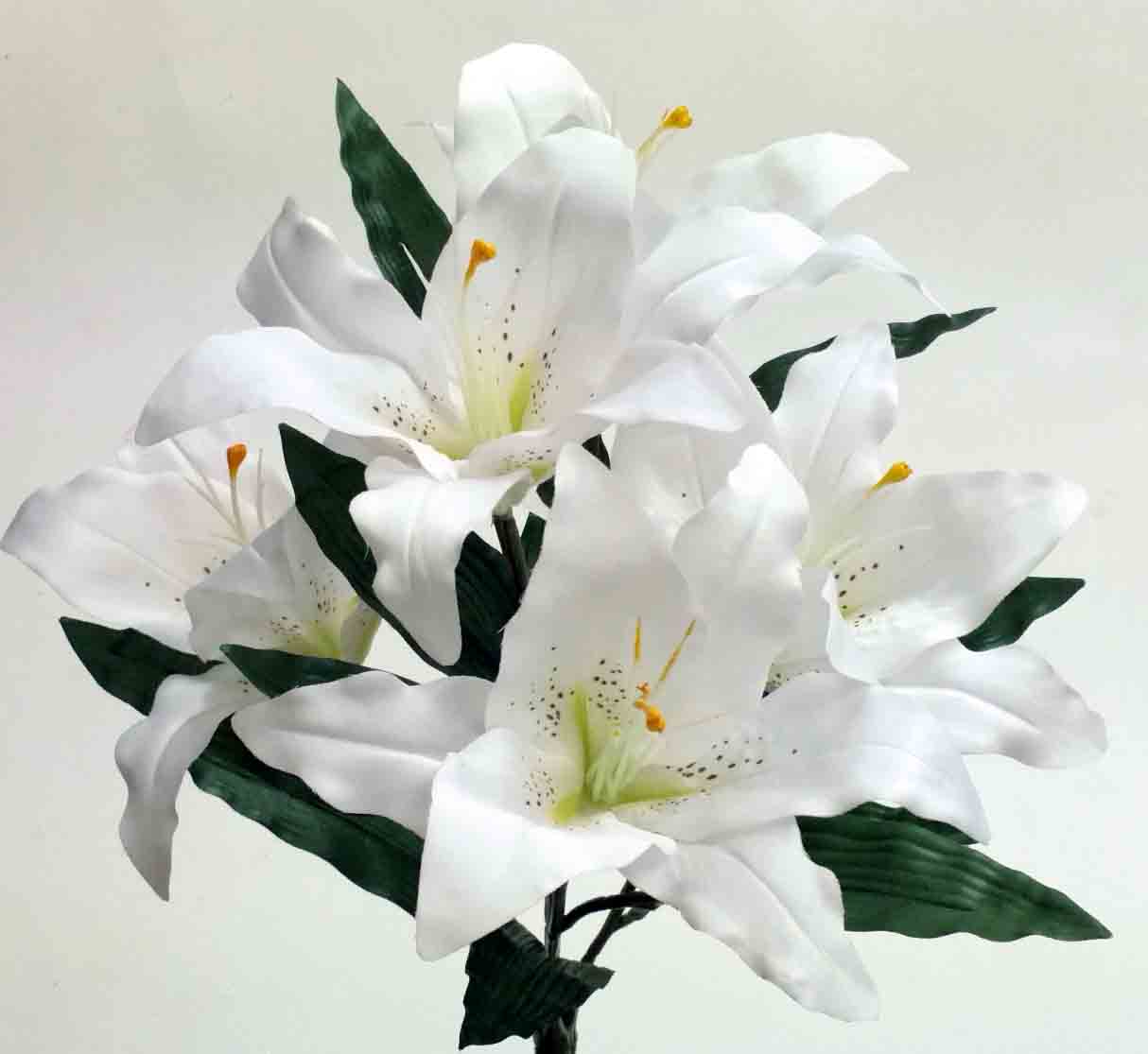 RB31 - 19" White Rubrum Lily Bush - 8.50 ea, 7.95/12