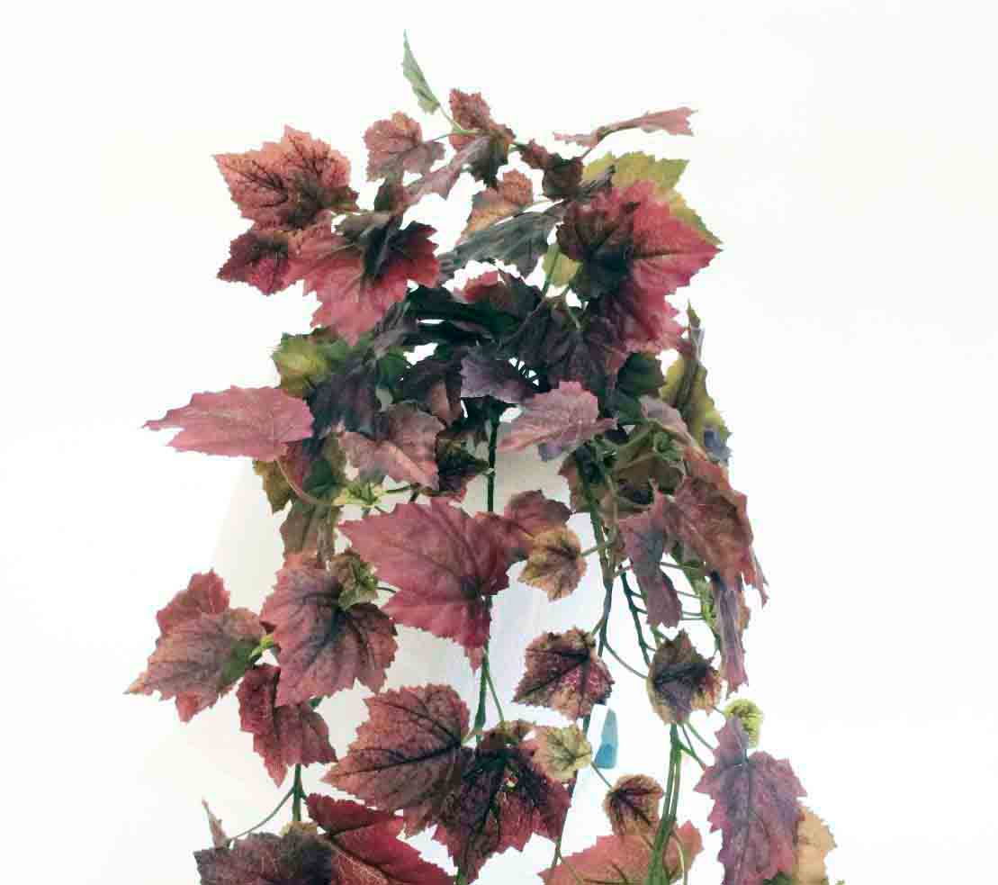 GI159 - 36" Grape Ivy Hanger - 12.60 ea, 12.25/6