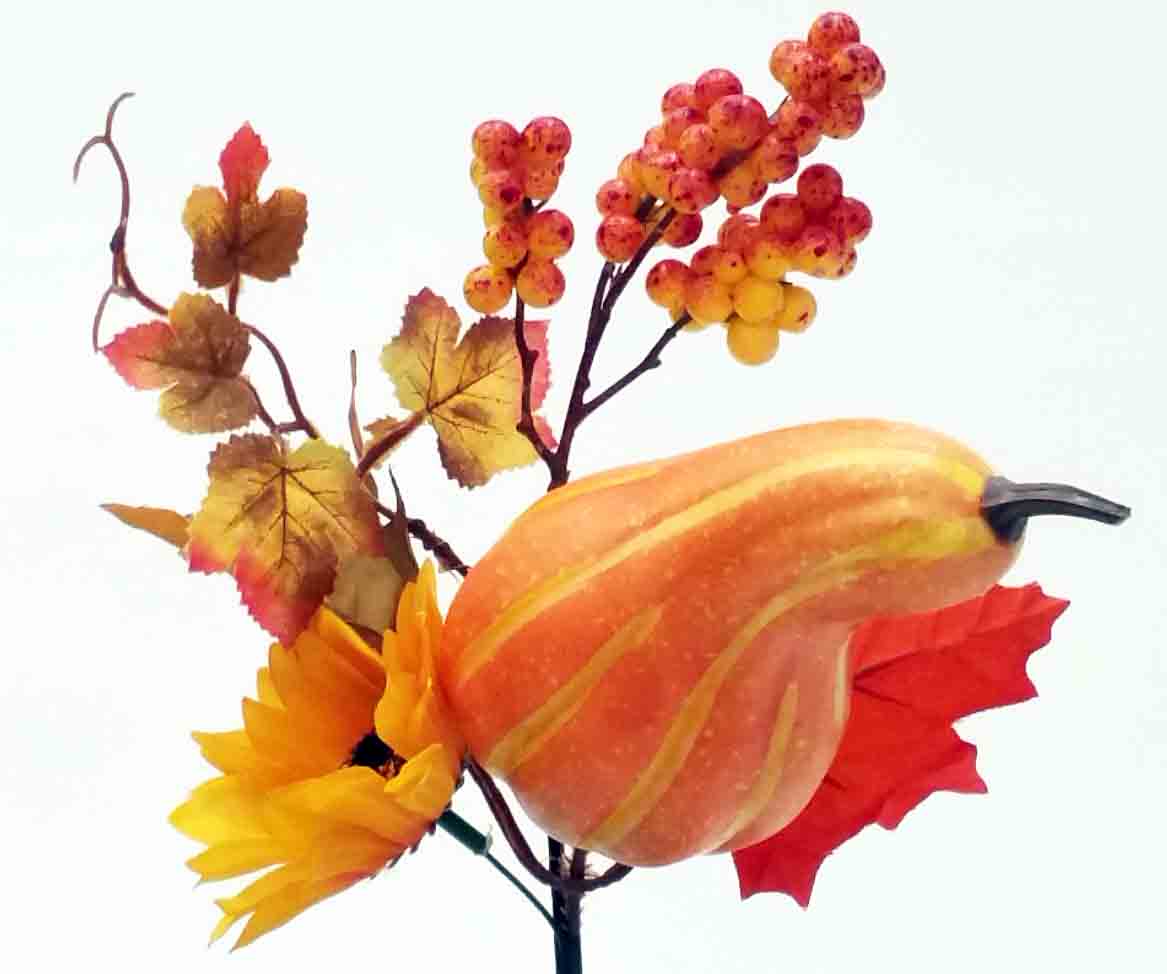 2388 - 10" Gourd/Sunflower Pick - 1.95 ea