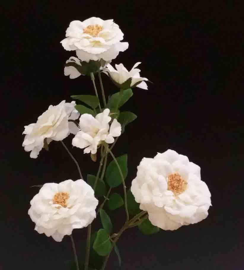 R7 - White 36" Beijing Rose x 7 - 6.50 ea, 5.95/12