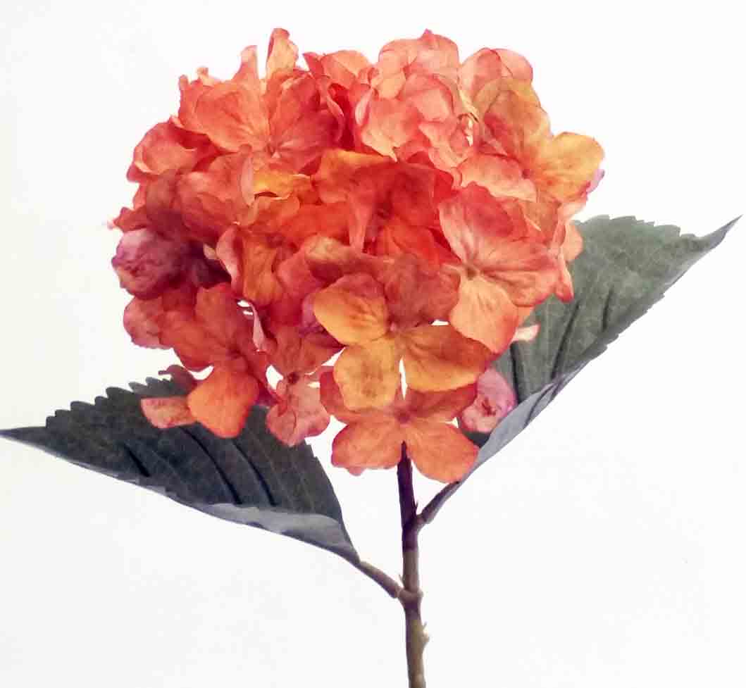 H06 - 26" Burnt Orange Single Hydrangea  - 5.50 ea, 4.95/12