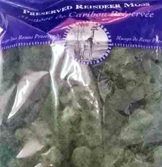 2304 - Preserved Reindeer Moss - 18.25 bag