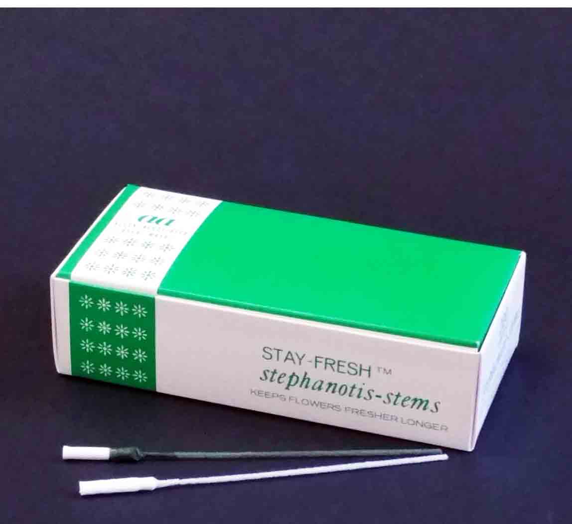 109 - Stay Fresh Stephanotis Stems - 9.95 box of 200