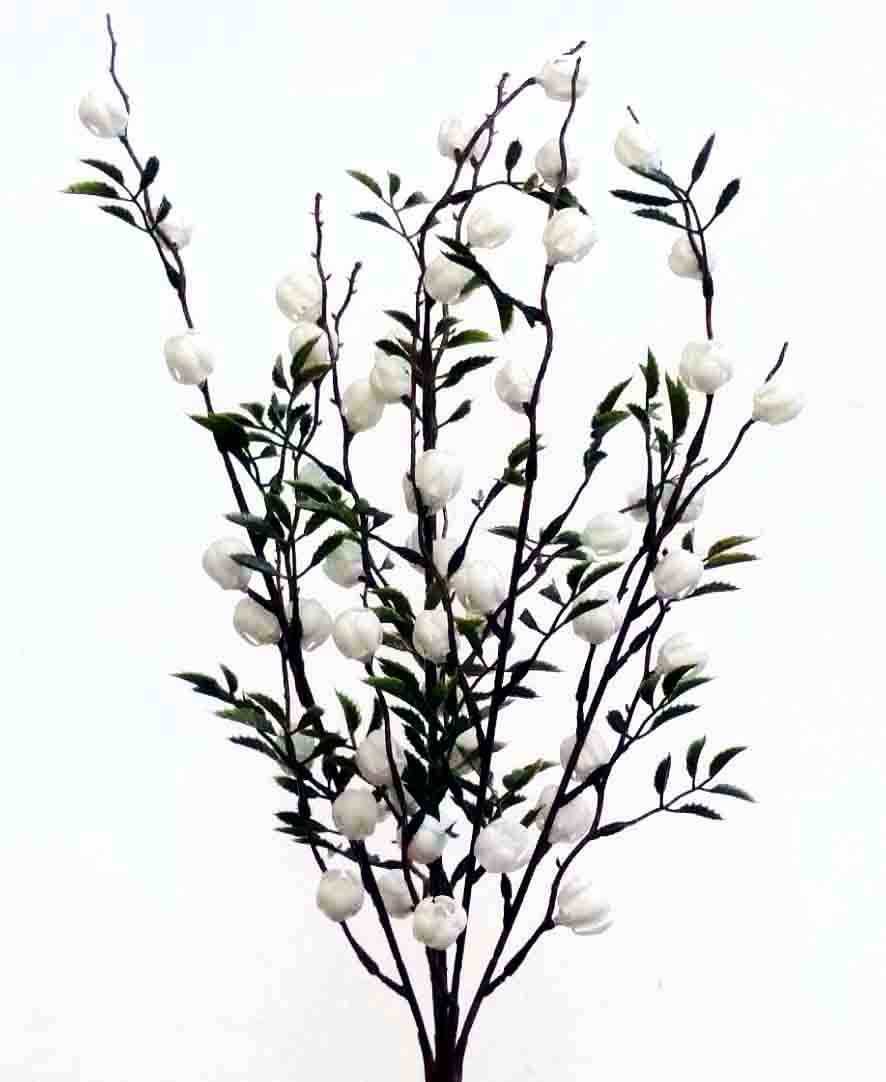BB16 - 16" Begonia Berry Bush - 5.75 ea, 5.45/12