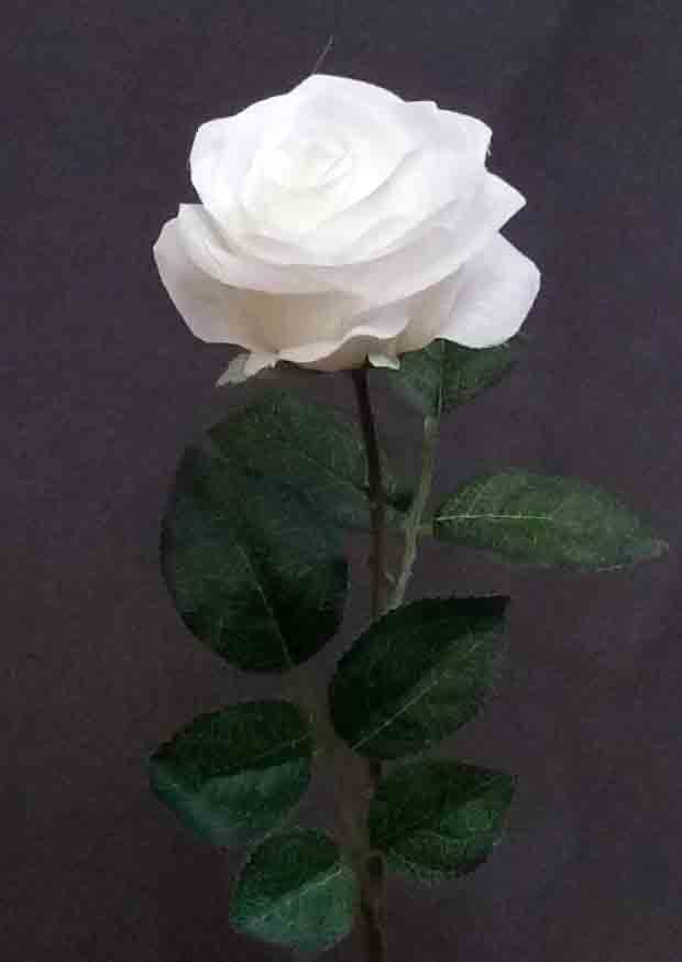 R994 - 22" White Single Rose - 2.75 ea, 2.50/24