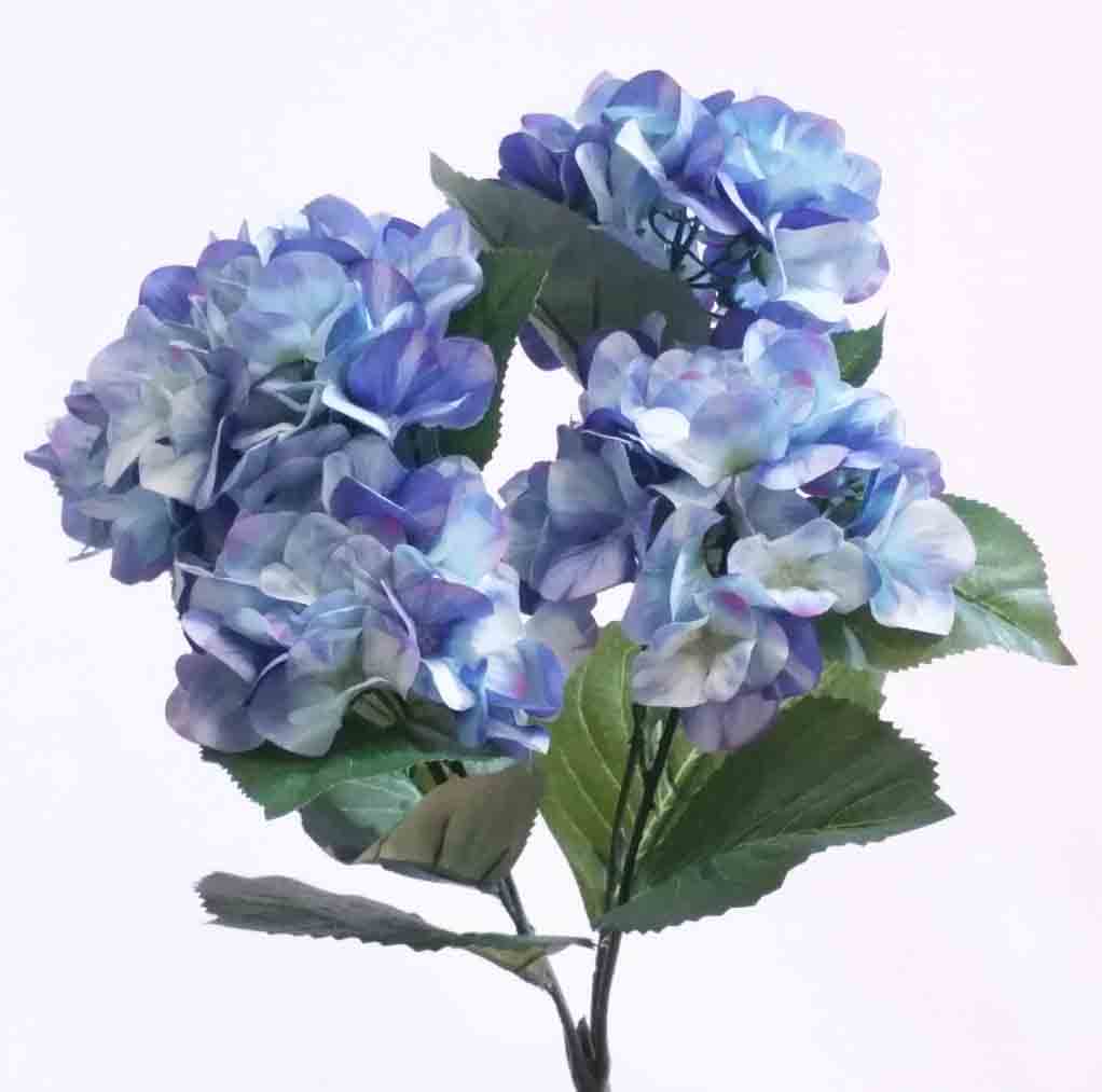 HB50 - 16" Blue Hydrangea Bush - 9.05 ea, 8.45/12