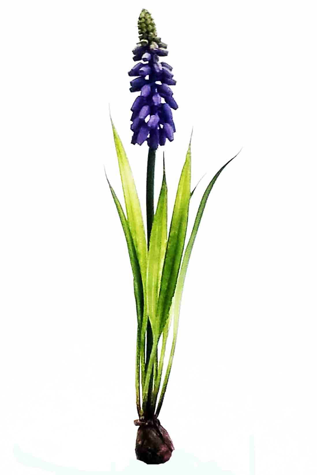 H987 - 9" Plastic Mini Hyacinth - .55 ea