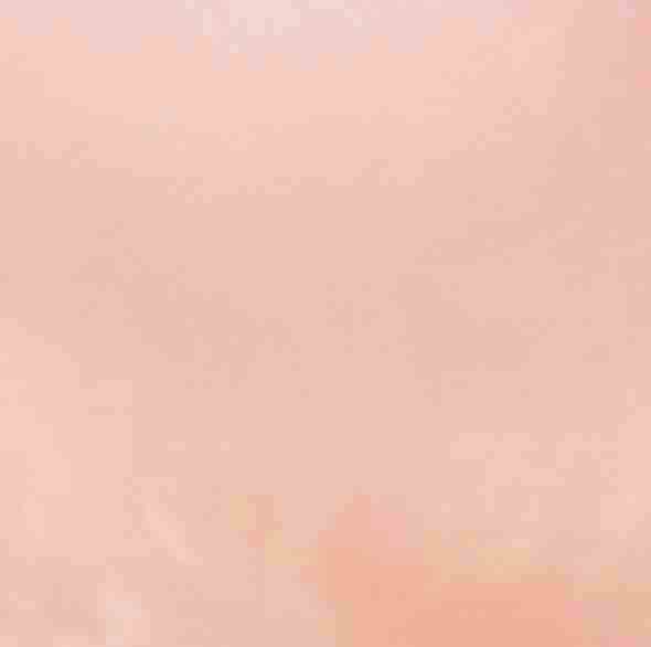 1781 - 24" x 50' Light Pink Pearlized Gift Wrap - 11.75 roll