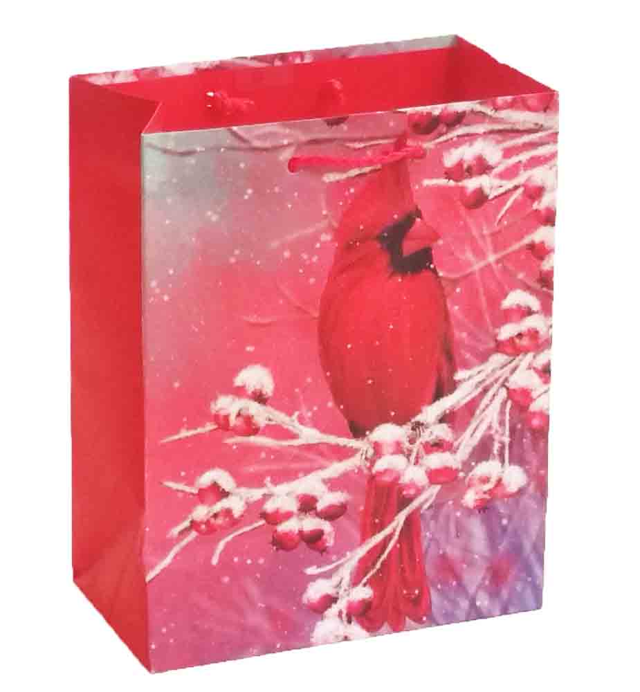 X316 - 4 x 7 x 9" Medium Gift Bag - .95 ea, .75/12