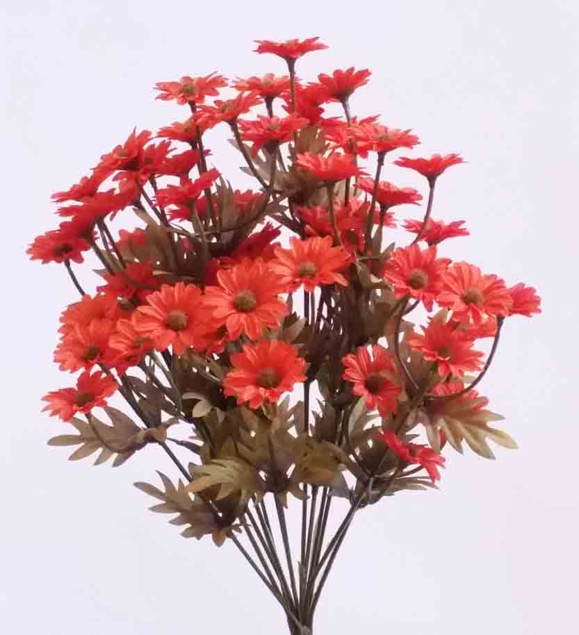 DB14 - 16" Orange Daisy Bush - 12.95 ea, 11.85/12