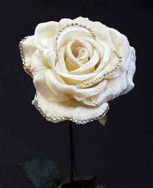 R87 - 4.25" Diamond Alina Rose - 2.95 ea