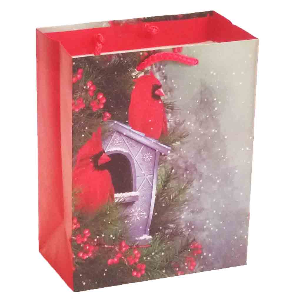 X316 - 4 x 7 x 9" Medium Gift Bag - .95 ea, .70/12