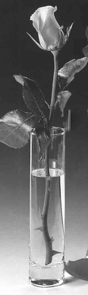 A-GL2743 - 7.5" Cylinder Bud Vase - 4.25 ea, 3.75/24