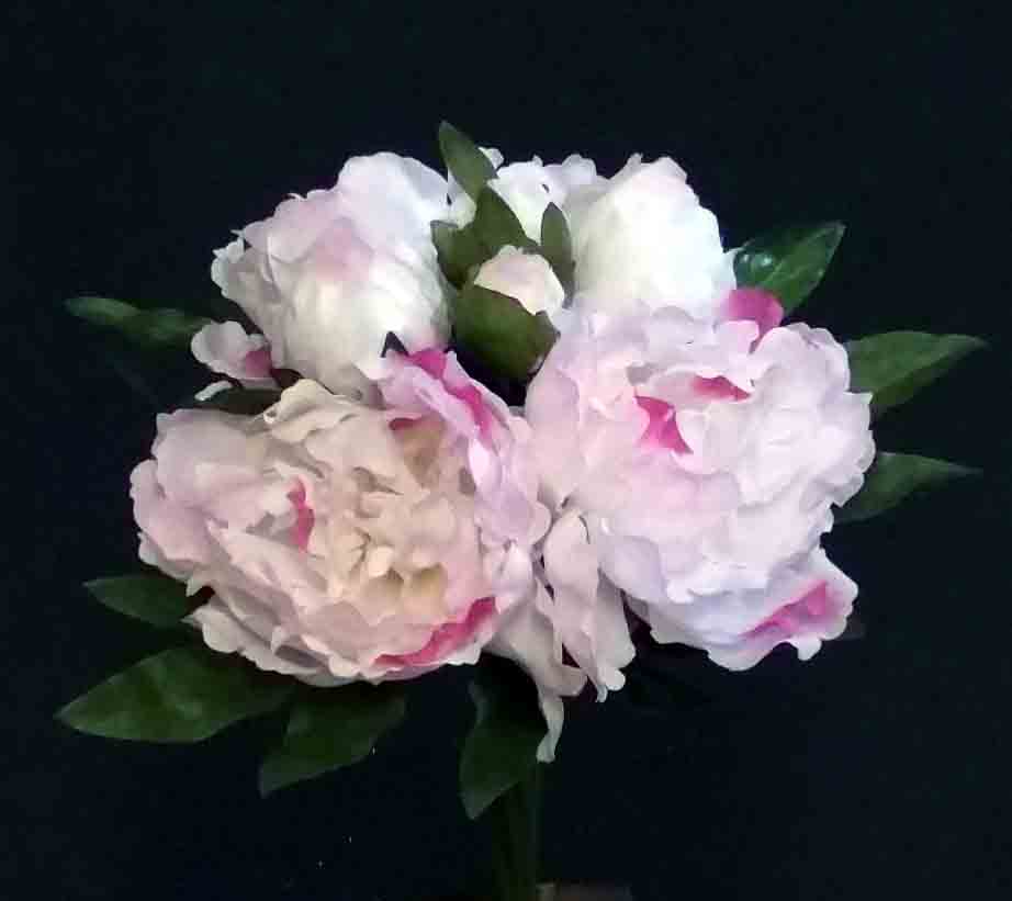 PB18 - Cream/Pink Peony Bouquet  x 7 - 8.95 ea, 8.50/12